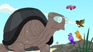 Still from Naturama