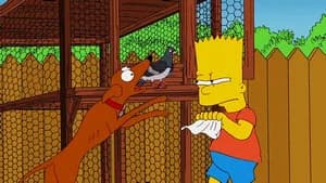 Still from How Munched Is That Birdie in the Window?